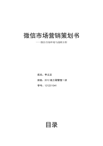 微信市场营销分析