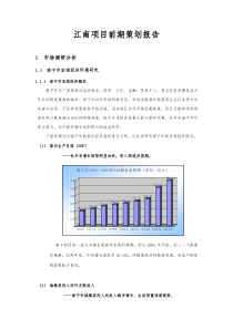 江南项目前期策划报告(628)