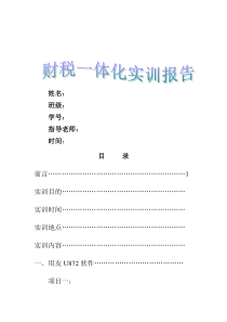 财税一体化实训报告