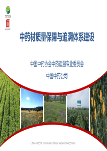 中药质量保障与追溯体系建设