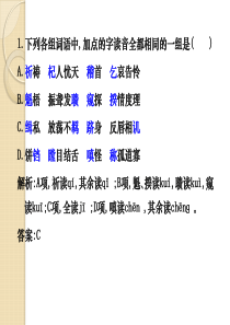 2011高考语文复习练习课件：识记现代汉语普通话常用字的字音(1)