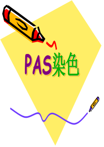 PAS染色