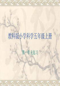 教科版科学五年级上册第一单元复习