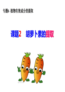 市级公开课2015.06.03胡萝卜素的提取