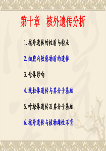 遗传学第10章 核外遗传分析