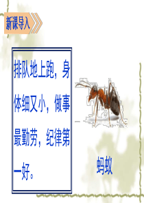 人教部编小学三年级语文上11一块奶酪