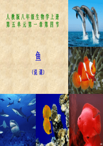 新人教版八上第四节鱼说课课件