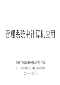 管理系统中计算机应用第七章(老王)