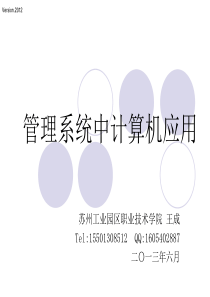 管理系统中计算机应用第八章(老王)