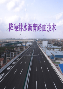 1.降噪排水沥青路面技术