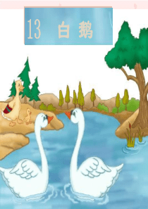 《白鹅》课件ppt