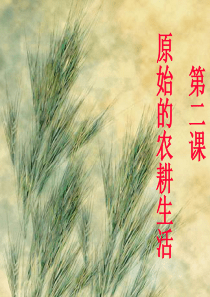七年级历史第2课原始的农耕生活课件 1新课标 人教版