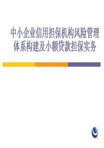 68中小企业信用担保机构风险管理体系构建及小额贷款担保实务