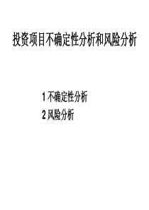 8 投资项目不确定性分析和风险分析