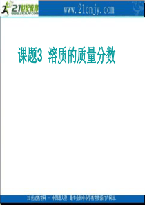 化学：人教新课标九年级下册第九单元课题3 溶质的质量分数(课件)
