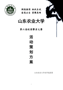 攀岩大赛策划方案
