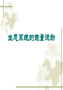 高二生物 必修三 第五章 第二节生态系统的能量流动