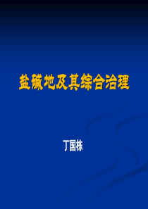 盐碱地及其综合治理