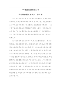 某公司混合所有制改革试点工作方案