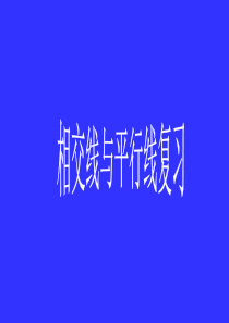 相交线与平行线复习课件.ppt