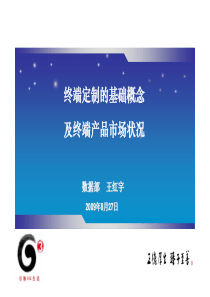 手机终端产品现状及发展