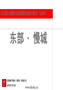 深圳东部慢城禾田居大鹏项目前期策划顾问报告