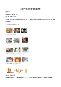 2018年宜宾市中考英语试卷