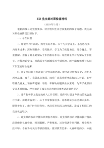 党支部对照检查材料
