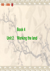 高考英语一轮复习精品教学课件：Unit-2--Working-the-land(新人教必修4)