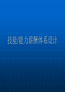 能力与技能薪酬体系设计(完整版)