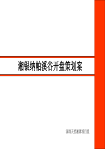 湘银纳帕溪谷开盘策划案