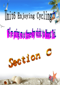 仁爱英语八下U6T1SC