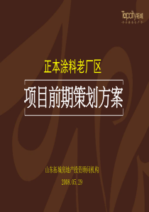 潍坊正本涂料老厂区项目前期策划方案-130PPT-208年
