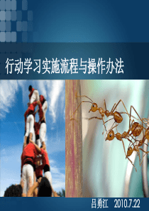 行动学习的实施流程与操作办法