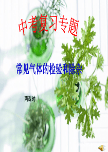 自用-常见气体检验及除杂