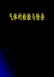 气体检验与除杂
