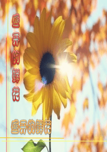 2019教育二年级下册美术课件-第2课《盛开的鲜花》｜浙美版(2014秋)-(共43张PPT)精品英