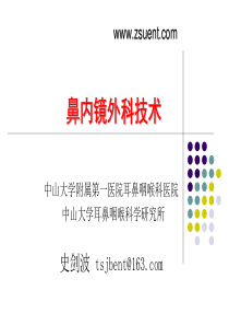 鼻内镜外科技术-史剑波