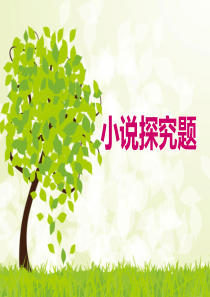 小说探究题