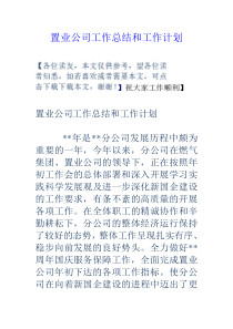 置业公司工作总结和工作计划