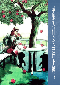 初二物理《重力》ppt课件_2