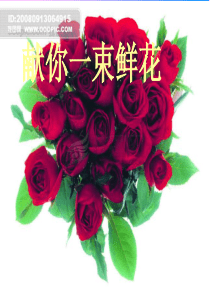献你一束花ppt课件