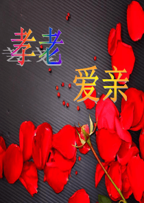 孝老爱亲主题班会