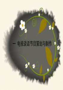 电视谈话节目的策划与文案