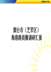 烟台海港路2009年计划定点开发资料 (NXPowerLite)
