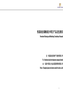 易居--恒基产品定位报告