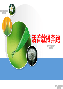 保险激励活着就得奔跑