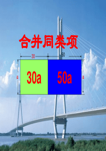 七年级数学上册《3.4合并同类项》课件一 苏科版
