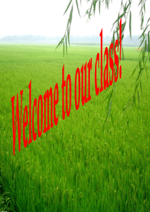 高一英语必修4unit2-reading-课件