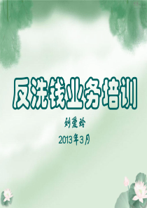 反洗钱业务培训(2013年3月1日)